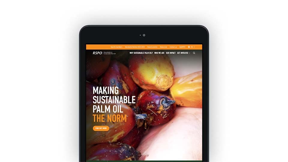 Roundtable on Sustainable Palm Oil (RSPO) image