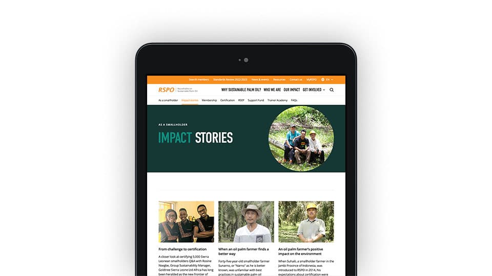 Roundtable on Sustainable Palm Oil (RSPO) image