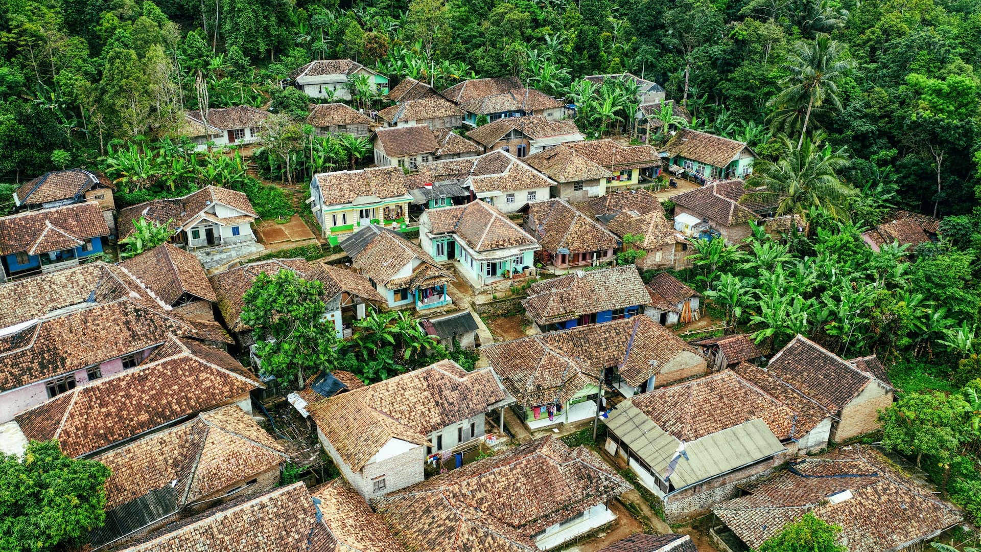 Roundtable on Sustainable Palm Oil (RSPO) image