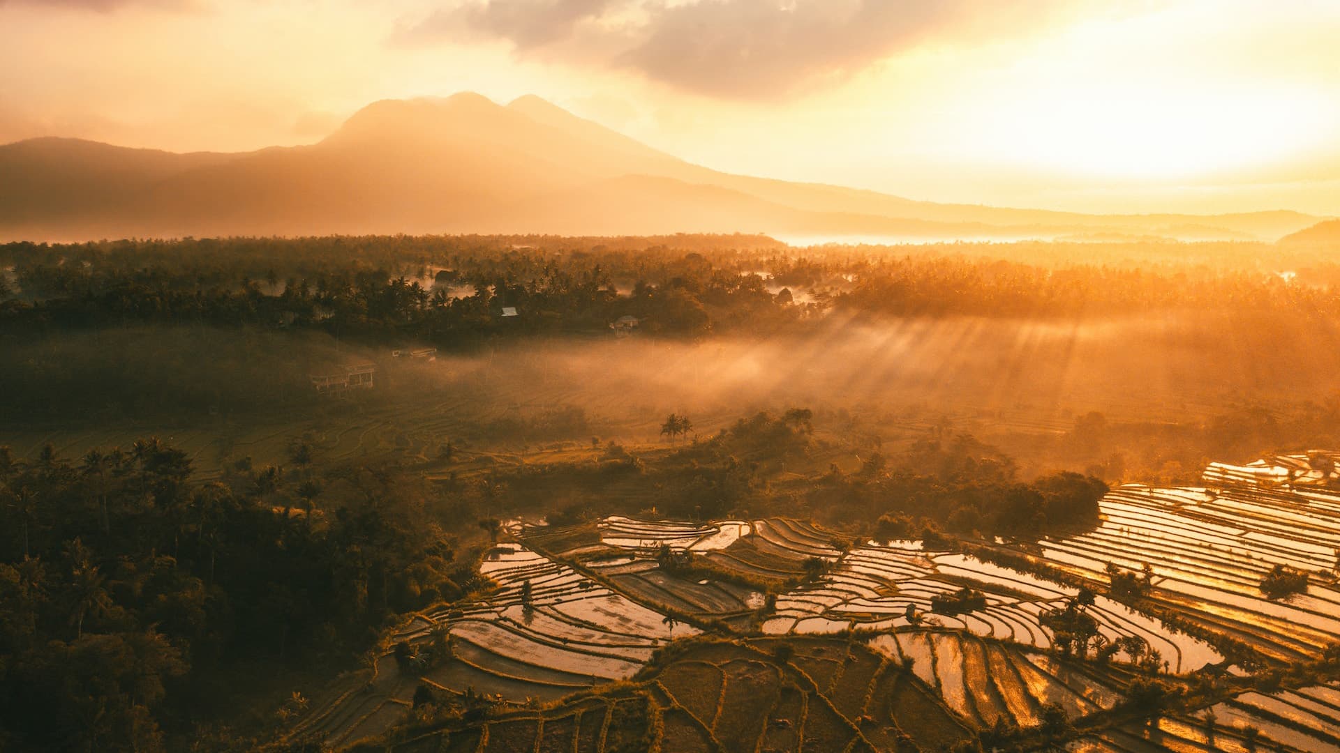 Grow Asia image