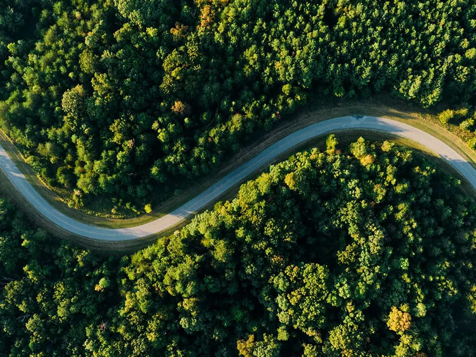 Bridging the Gap: Your Roadmap to Seamless EUDR Compliance